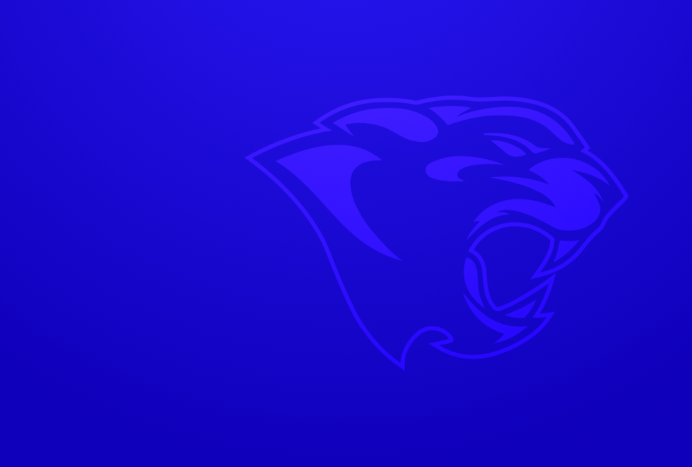 NSAA recognizes student/athletes