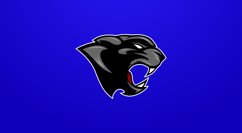 NSAA academic all-state awards